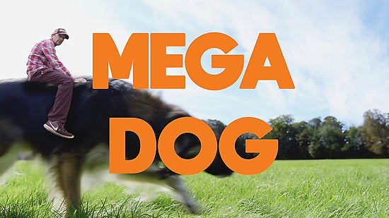 Mega Dog